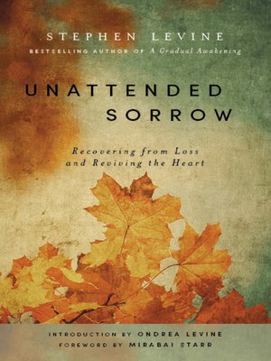 cover image of Unattended Sorrow